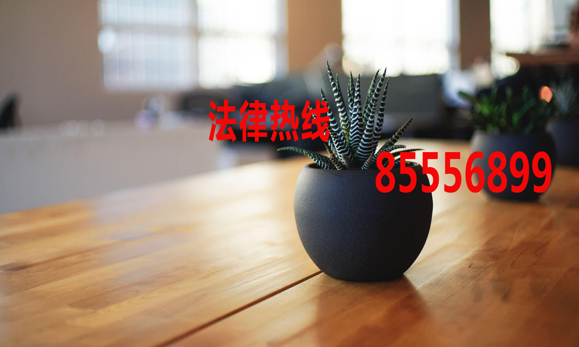 鹿城律师15356291688_温州市鹿城区律师